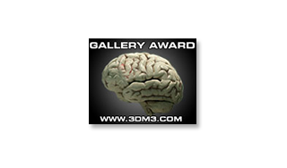 3DM3 Award