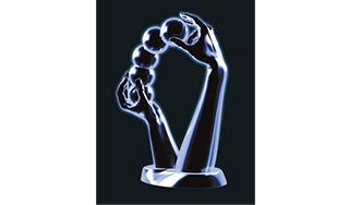 Animago Award Still